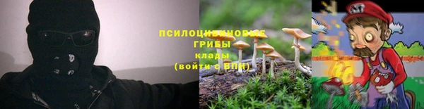 гидра Переславль-Залесский
